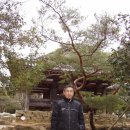 2010 버림과 채움의 신년여행 3 이미지