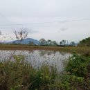 별립산농장 이미지