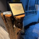 비크하우스 | 아이슬란드 신혼여행 | 2일차 남부 비크 부근 가성비 좋은 게스트하우스 카리나 숙소 후기