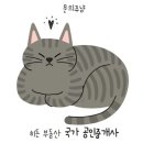 중앙동140 이미지
