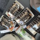켈리서프