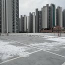 엔브이 이미지