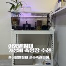 어항 | 가성비 끝판왕 수족관다이 튼튼한 어항 받침대 만족 내돈내산 후기