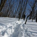 조은사람 이미지