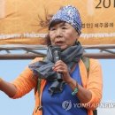 제주올레 이미지