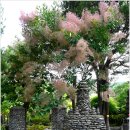 초원의집 이미지