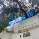 본마을 버스정류장 삼거리 이미지