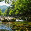 디하우스 풀빌라 펜션 이미지