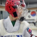 경희대진무태권도장 이미지