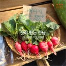 싱싱채농원