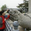 정릉13 이미지