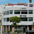 제주궁전 | 제주 동문시장 근처 몽골음식점 우르고 메뉴 종류 맛 후기