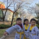 용인대홍익태권도장 - 시흥시 하중로 199 | 용인대홍익태권도장