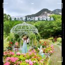 서울 수국명소 불암산 힐링타운 수국정원