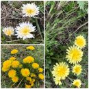 성지마을회관 이미지