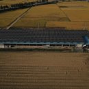 세종 태양광발전소 이미지