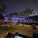 하비비캠핑장 이미지