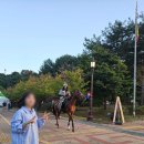 부여(백제)-10 | 2024 부여 백제문화제 , 개막식후기(공연장위치, 라인업, 주차장, 입장료)