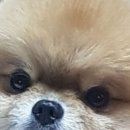 서울곱창 이미지