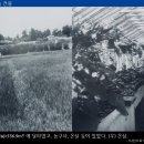 경송농장 네이버블로그