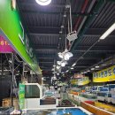 비응남로 이미지