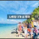 파라다이스 티스토리