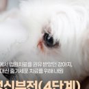 애니컴서비스 이미지