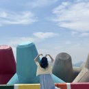 한그릇 뚝딱 | [남해맛집] 물회 안 먹던 부산토박이, 남해 와서 한 그릇 뚝딱! ‘부산횟집’ 솔직 후기