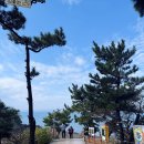 [충남 여행] 간조 때만 열리는 간월암, 비 오다 맑아진 날 다녀온 후기★