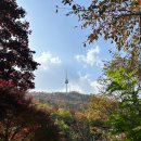 광장길 | 서울 남산 백범광장 둘레길 단풍 방문후기