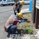 내도동 알작지왓 이미지