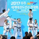 태권도 상징 조형물 이미지