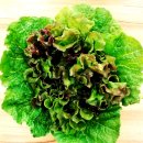 농장숯불갈비 이미지