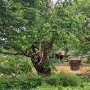 떡버들공원 이미지