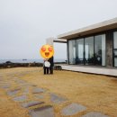 흰고래숨비