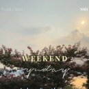 애슬로우 이미지