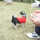 고리울가로공원 이미지