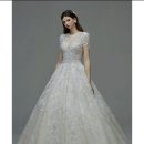 보니타(BONITA) 이미지