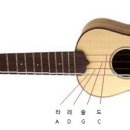 우크&기타 이미지