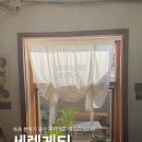 와인앤비어유 | 속초 에스프레소 바 커피 맛집 세렝게티 커피 내 돈 내산 후기
