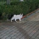 [포토덤프챌린지 2 7주차] 주디마리 망원 / 후카후카 스튜디오&amp;아티웨이브 / 슈퍼문 / 송내곡주