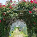 양편농장 이미지