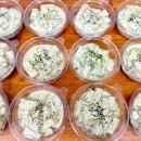 엄마찬s 이미지