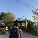 아라마루 카페 | 사천아기랑, 29개월 아기랑 ‘아라마루 동물원’ 관람후기(BIC3 입장권)