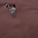 청운농장 이미지