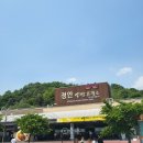 정안운수 | 담양 죽녹원 대나무 숲속에서 힐링하기