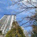 흥덕신동아박사공인중개사사무소 이미지