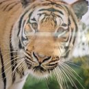 10월25일 하회마을 부용대와 백두대간 수목원 찾아~ 이미지