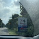 비자림 미담 | 제주 비자림숲길 근처 점심 비자림미담 문어 요리