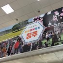 바람난파닭&처가집양념치킨 | 강따라 바람따라 청주 여행기 🚶🏻‍♀️‍➡️🚶🏻‍♀️‍➡️🚶🏻‍♀️‍➡️
